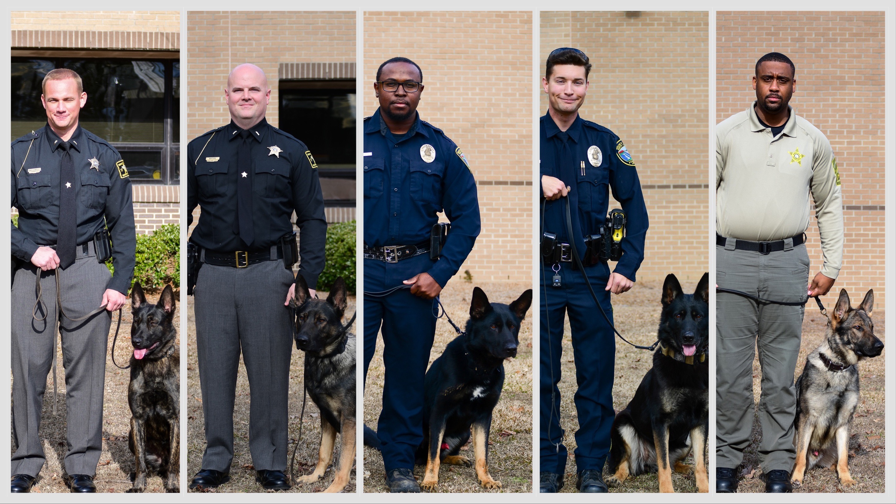 a collage of 5 officers with with dogs