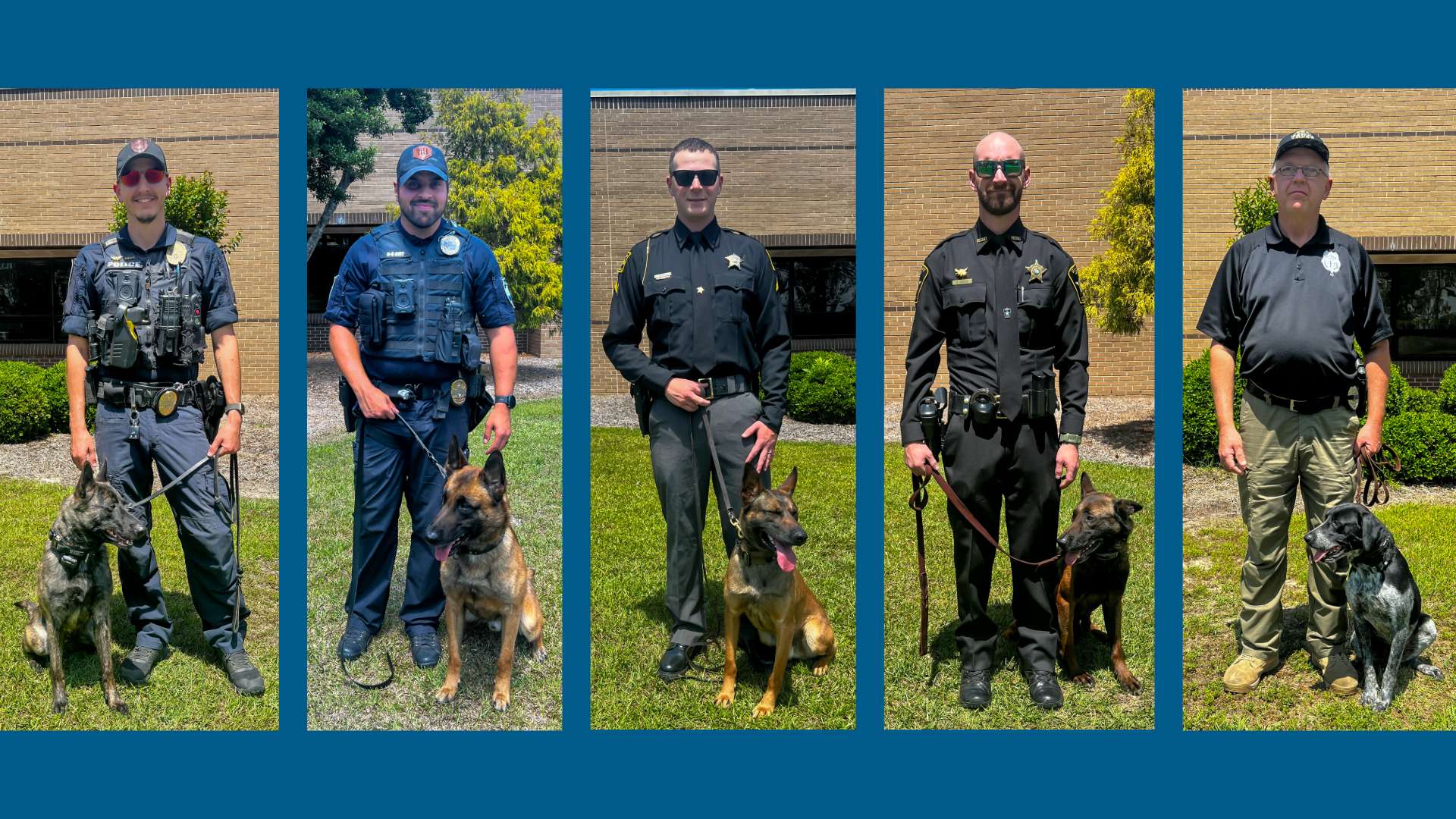 collage of police with dogs