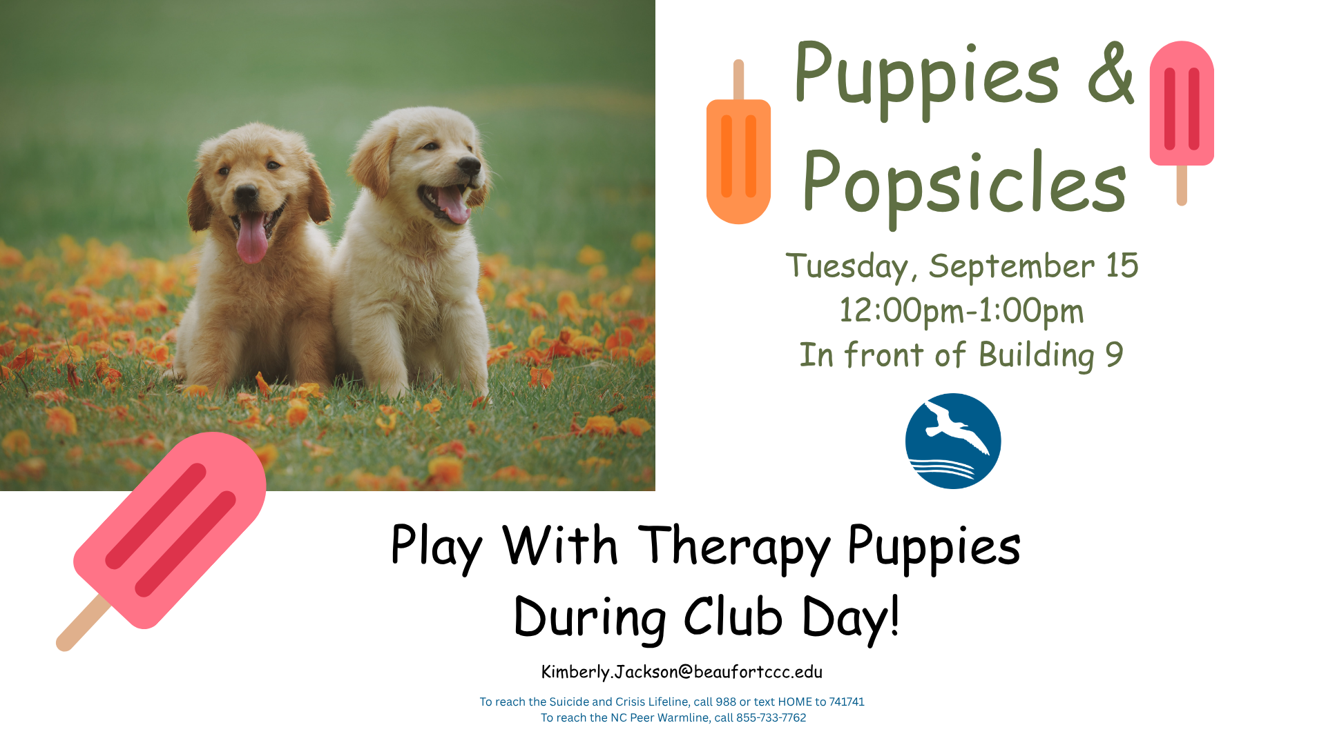 Text: Puppies & Popsicles Sept. 15